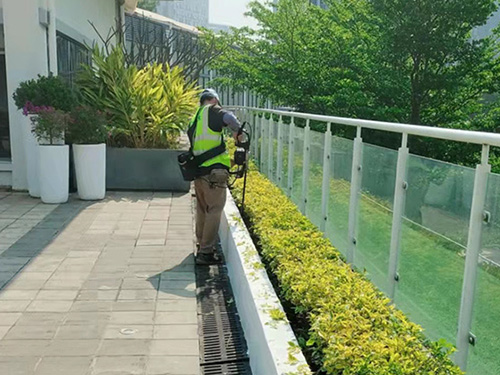 綠化養(yǎng)護(hù)